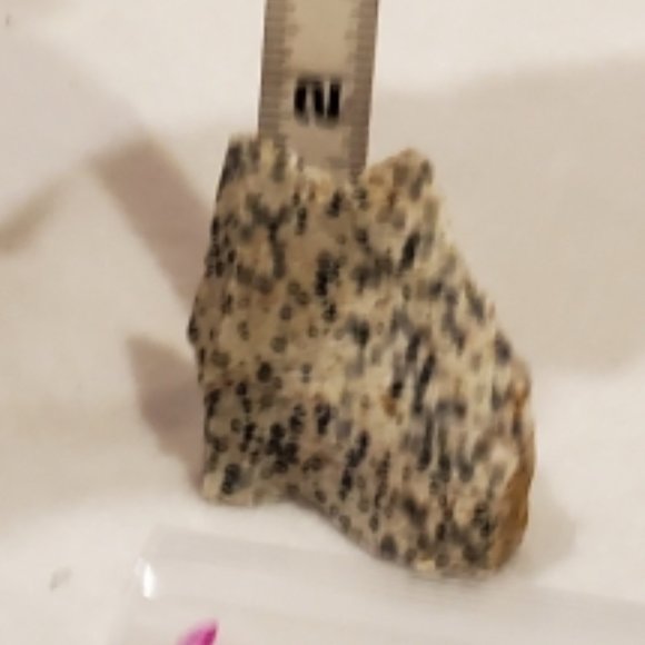 Natural Raw Dalmatian Jasper Gemstone #1 Stone - Picture 8 of 8